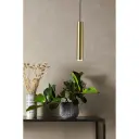 Markslöjd Ruben Pendel 40 cm Messing 1694988-03-160 1596595-01-0
