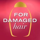 Ogx Anti Breakage Keratin Oil Conditioner