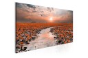 Tavla Lily Pathway 1 Part Narrow VALUE_MISSING_1 135x45  