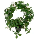 Mr Plant Jasmin Potteplante 45 cm Hvit