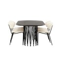 Furniture/Fashion Spisegruppe furniture/fashion Stone med 4 Chico Stoler GR23037