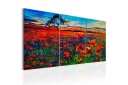 Tavle Valley Of Poppies 120X60 Artgeist sp. z o. o.