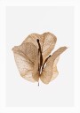 Gilded Pause Plakat Plakat / 21x30cm