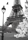 Eiffel Tower in Bloom Plakat Plakat / 100x150cm