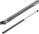 RIDEX 219G0880 Baklukedemper