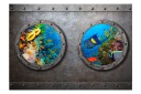 Fototapet Window To The Underwater World 100x70 - Finnes i flere størrelser