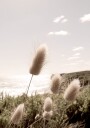 Soft Grass on Mountain Plakat Plakat / 70x100cm