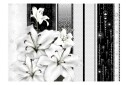 Bakgrunn Crying Lilies In White 250x175 - Artgeist sp. z o. o.