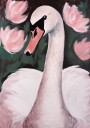 Swan In The Pond Plakat / 50x70cm