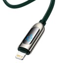 Baseus USB-C cable for Lightning Baseus Display PD 20W 2m (green)