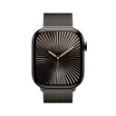 Apple Watch S10 46mm GPS+Cel (Slate Titanium/Slate Milanese Loop) M/L