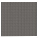 Vidaxl Vektdyne grå 220x235 cm 15 kg stoff