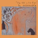 Graham Coxon  The Sky Is Too High  CD