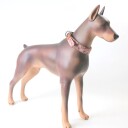 Army Style 2-Pin Hundehalsbånd