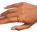 PDPAOLA Devi Stamp Ring 18 kt. AN01-A53-52 (ring) - Dame - 925 sterling silver