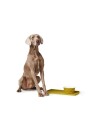 Dog & Cat Feeding Bowl Eiby Ceramic Yellow 1100 ml