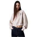 Calvin Klein Dame Gensere & Hettegensere Beige M,
