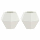 vidaXL Plantekassed 2 pcs Hvit 100 x 100 x 80 cm Stål