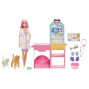Barbie Fast Cast Veterinarian Clinic Doll and Accessories