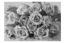Fototapet A Dozen Roses 400x309 - Artgeist sp. z o. o.