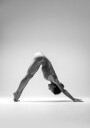 Practicing Yoga Plakat Plakat / 70x100cm