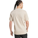 adidas  Terrex Xploric Logo Tur T skjorte Herre Beige S