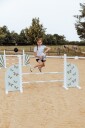 av Astrup Spring Sider Sommerfugler