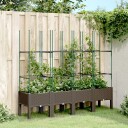 Plantekasse med espalier brun 160x40x142,5 cm PP