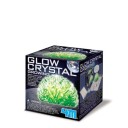 4M Glow crystal growing