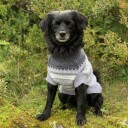 Grå Mariusgenser For Hund® 70% Ull