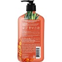 Hempz Sweet Pineapple & Honey Melon Herbal Conditioner 500 ml
