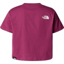 The North Face Crop Easy T Shirt Barn Bordeaux 146 151