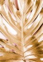 Gold Leaf Texture Plakat Plakat / 100x150cm