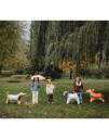 Corgi Hund Folieballong 88x70 cm Dog Party