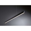 Paulmann - Aptare Pendel Zigbee/Dim. Black
