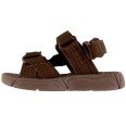 Bisgaard Bisgaard Louis   Brown   36