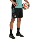 FC Copenhagen Treningsshorts Svart M