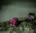 Und Småfugl med klips Purple