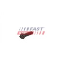 Stempelstangskrue FAST FT05135