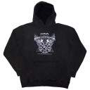 Foo Fighters Foo Fighters Unisex Stone Wash Pullover Ho...