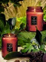 Voluspa Forbidden Fig  Large Embosser Glass Jar Candle 100H