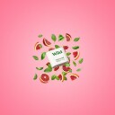 Wild Lemon, Basil & Blood Orange Deo Refill 40g