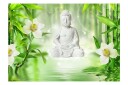 Fototapet Buddha And Nature 200x140 - Artgeist sp. z o. o.
