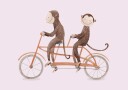 Monkey Bicycle Plakat Plakat / 21x30cm