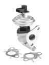 EGR Ventil WAHLER 712092D