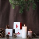 Teministeriet Holiday 430 Christmas Orange Cinnamon Organic   Boks Te