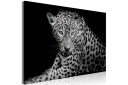 Tavle Leopard Portrait 1 Part Wide 120X80 Artgeist sp. z o. o.