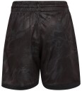 Hummel Shorts   hmlBlaze Club 26   Black/Asfalt   Hummel   10 år (140)   Shorts   Svart