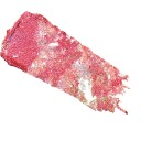 Danessa Myricks Beauty Infinite Chrome Flakes Sweet Tooth