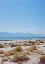 Bombay Beach Spring II Plakat Plakat / 30x40cm